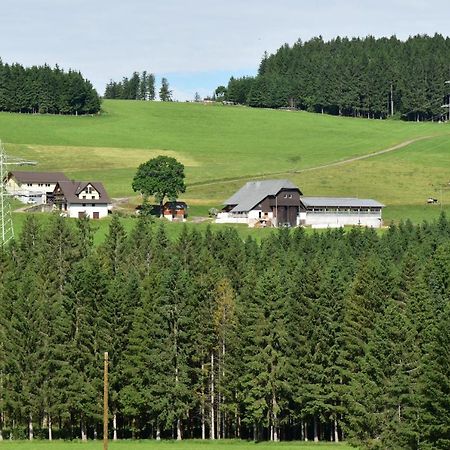 Duerrenbartleshof Apartment Breitnau Bagian luar foto